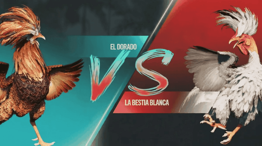 899bet Slots Ao Vivo e Baixar Plataforma